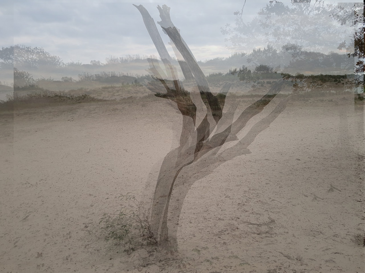 PanoramaClassGallery-Images©AlexanderJohannesHeil - 9