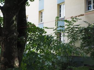 Connecting Spaces - Verbindungen von Räumen - @Vorwerkstift Galerie21, Hamburg ©2024 Alexander Johannes Heil