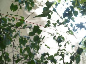 Connecting Spaces - Verbindungen von Räumen - @Vorwerkstift Galerie21, Hamburg ©2024 Alexander Johannes Heil