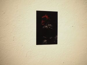 Connecting Spaces - Verbindungen von Räumen - @Vorwerkstift Galerie21, Hamburg ©2024 Alexander Johannes Heil